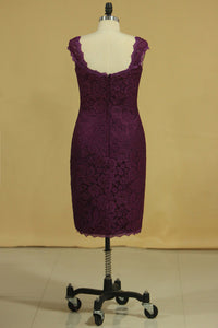 2024 Plus Size Off The Shoulder Lace Evening Dresses Sheath/Column With Applique Grape
