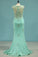2024 Prom Dresses Mermaid Scoop Spandex With Applique Sweep Train