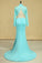 2024 Two Pieces Prom Dresses Mermaid Spandex & Tulle With Applique