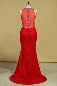 2022 Red Plus Size Prom Dresses Scoop Beaded Bodice Sweep Train Lace Mermaid