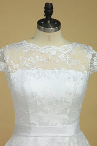 2024 Plus Size Scoop Short Sleeve Knee-Length A Line Lace With Sash Wedding Dresses