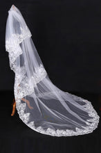 Load image into Gallery viewer, Three-Tier Cathedral Length Bridal Veils With Applique