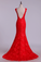 2022 V-Neck Tulle Evening Dresses Mermaid With Applique Sweep Train