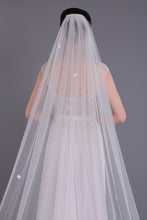 Load image into Gallery viewer, One-Tier Cathedral Bridal Veils With Applique