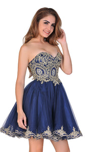 2024 Homecoming Dresses A Line/Princess Sweetheart Tulle With Applique