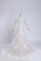 2022 Bateau Long Sleeves Wedding Dress Mermaid/Trumpet Court Trian With Applique